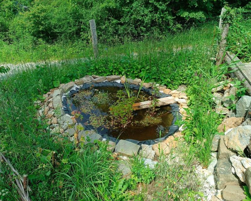 20250613_132918_nat-rn-terrain-649_photo_WhatsApp Image 2025-06-13 at 15.26.42 (1).jpg